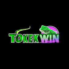 TOKEKWIN - Aplikasi Cek Harga Terbaik untuk Belanja Cerdas